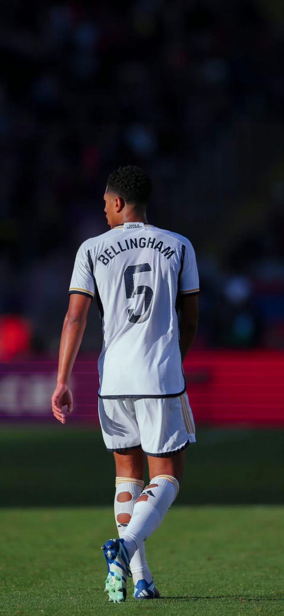 博彩运营商赞助野生动物保护